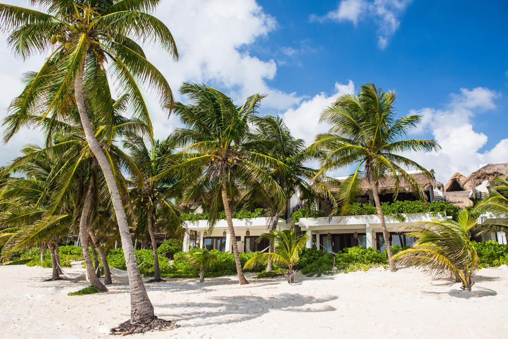 The Beach Tulum Hotel Zewnętrze zdjęcie