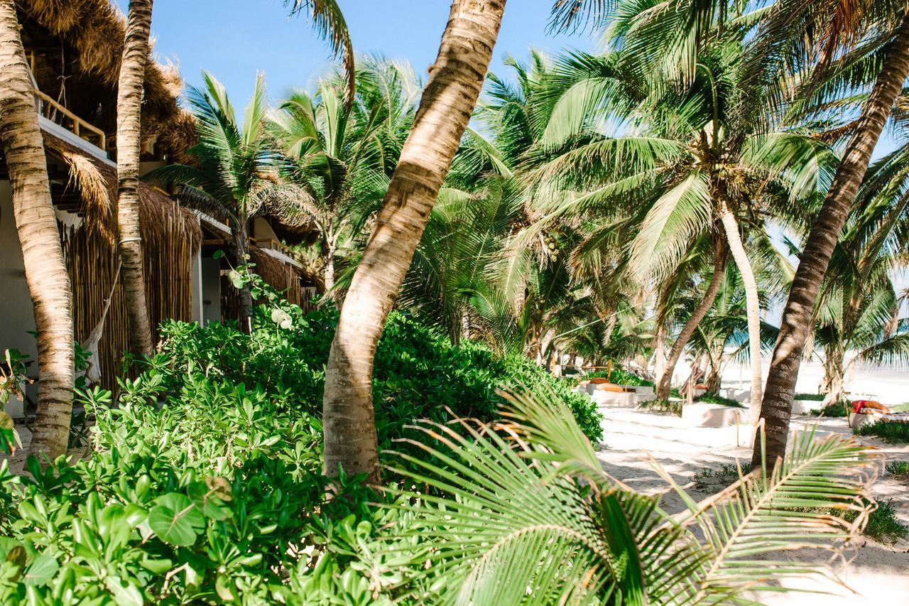 The Beach Tulum Hotel Zewnętrze zdjęcie